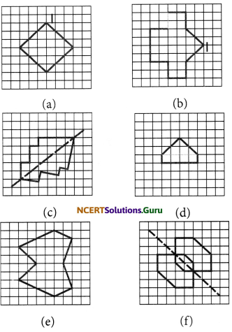 NCERT Solutions for Class 6 Maths Chapter 13 Symmetry Ex 13.1 5