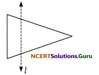 NCERT Solutions for Class 6 Maths Chapter 13 Symmetry Ex 13.1 8