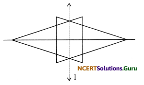 NCERT Solutions for Class 6 Maths Chapter 13 Symmetry Ex 13.1 9