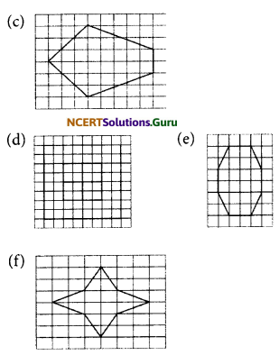 NCERT Solutions for Class 6 Maths Chapter 13 Symmetry Ex 13.2 10