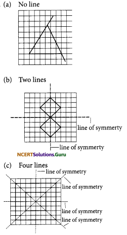 NCERT Solutions for Class 6 Maths Chapter 13 Symmetry Ex 13.2 11