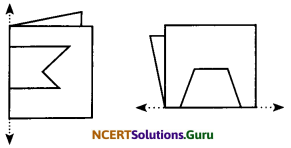 NCERT Solutions for Class 6 Maths Chapter 13 Symmetry Ex 13.2 14