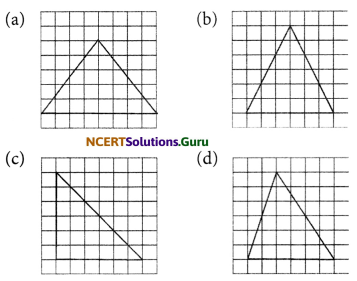 NCERT Solutions for Class 6 Maths Chapter 13 Symmetry Ex 13.2 2