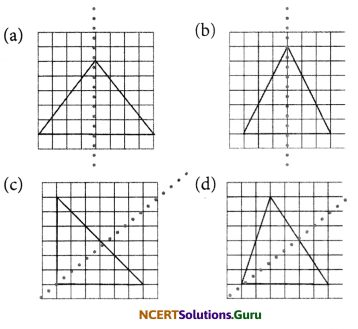 NCERT Solutions for Class 6 Maths Chapter 13 Symmetry Ex 13.2 3