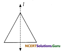 NCERT Solutions for Class 6 Maths Chapter 13 Symmetry Ex 13.2 5