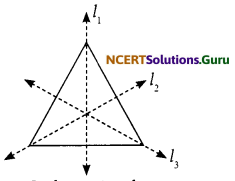 NCERT Solutions for Class 6 Maths Chapter 13 Symmetry Ex 13.2 6