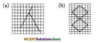 NCERT Solutions for Class 6 Maths Chapter 13 Symmetry Ex 13.2 9