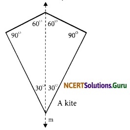 NCERT Solutions for Class 6 Maths Chapter 13 Symmetry InText Questions 12
