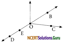 NCERT Solutions for Class 6 Maths Chapter 4 Basic Geometrical Ideas Ex 4.1 1