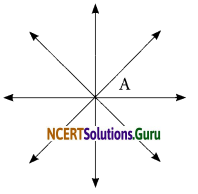 NCERT Solutions for Class 6 Maths Chapter 4 Basic Geometrical Ideas Ex 4.1 5