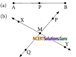 NCERT Solutions for Class 6 Maths Chapter 4 Basic Geometrical Ideas Ex 4.1 7