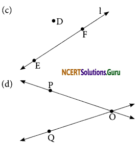 NCERT Solutions for Class 6 Maths Chapter 4 Basic Geometrical Ideas Ex 4.1 8