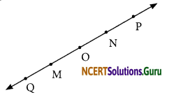 NCERT Solutions for Class 6 Maths Chapter 4 Basic Geometrical Ideas Ex 4.1 9