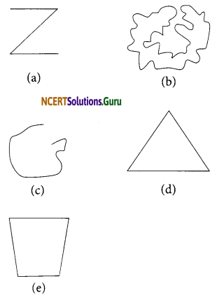 NCERT Solutions for Class 6 Maths Chapter 4 Basic Geometrical Ideas Ex 4.2 1