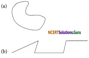 NCERT Solutions for Class 6 Maths Chapter 4 Basic Geometrical Ideas Ex 4.2 6