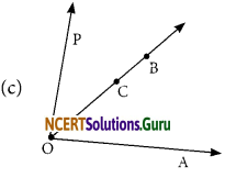 NCERT Solutions for Class 6 Maths Chapter 4 Basic Geometrical Ideas Ex 4.3 5