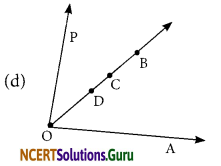 NCERT Solutions for Class 6 Maths Chapter 4 Basic Geometrical Ideas Ex 4.3 6