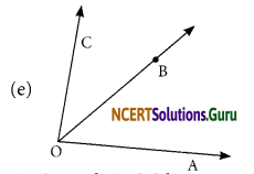 NCERT Solutions for Class 6 Maths Chapter 4 Basic Geometrical Ideas Ex 4.3 7