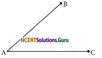 NCERT Solutions for Class 6 Maths Chapter 4 Basic Geometrical Ideas InText Questions 1