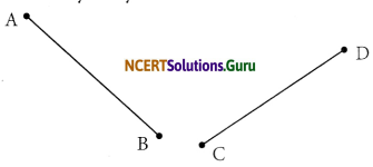 NCERT Solutions for Class 6 Maths Chapter 5 Understanding Elementary Shapes Ex 5.1 1