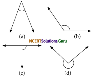 NCERT Solutions for Class 6 Maths Chapter 5 Understanding Elementary Shapes Ex 5.3 1