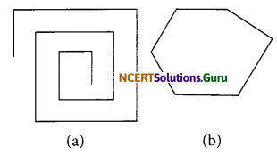 NCERT Solutions for Class 6 Maths Chapter 5 Understanding Elementary Shapes Ex 5.8 1
