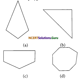 NCERT Solutions for Class 6 Maths Chapter 5 Understanding Elementary Shapes Ex 5.8 3