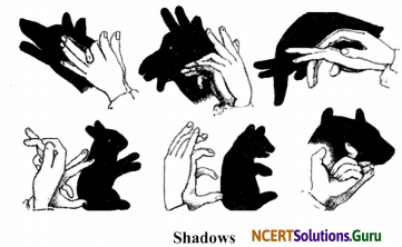 NCERT Solutions for Class 6 Science Chapter 11 Light, Shadows and Reflections 6
