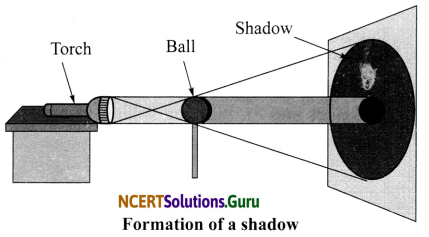NCERT Solutions for Class 6 Science Chapter 11 Light, Shadows and Reflections 7