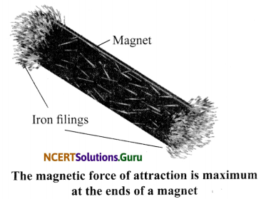 NCERT Solutions for Class 6 Science Chapter 13 Fun with Magnets 5