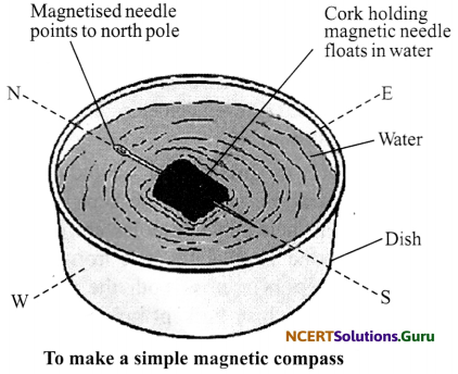 NCERT Solutions for Class 6 Science Chapter 13 Fun with Magnets 8