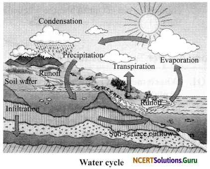 NCERT Solutions for Class 6 Science Chapter 14 Water 11