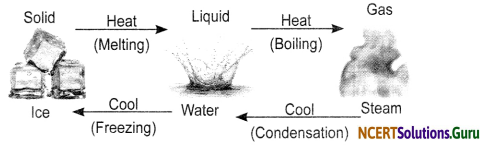NCERT Solutions for Class 6 Science Chapter 14 Water 2