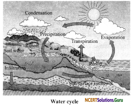 NCERT Solutions for Class 6 Science Chapter 14 Water 3