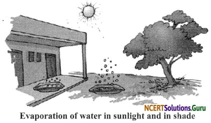 NCERT Solutions for Class 6 Science Chapter 14 Water 4