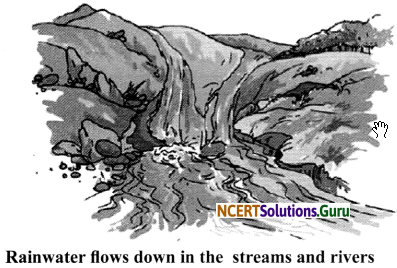 NCERT Solutions for Class 6 Science Chapter 14 Water 6