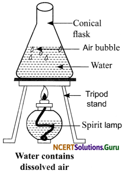 NCERT Solutions for Class 6 Science Chapter 15 Air Around Us 7