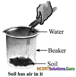 NCERT Solutions for Class 6 Science Chapter 15 Air Around Us 8