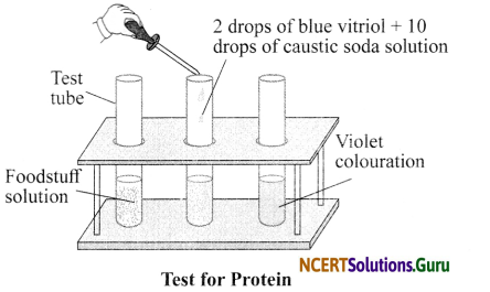 NCERT Solutions for Class 6 Science Chapter 2 Components of Food 3