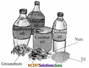 NCERT Solutions for Class 6 Science Chapter 2 Components of Food 4