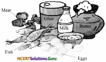 NCERT Solutions for Class 6 Science Chapter 2 Components of Food 5