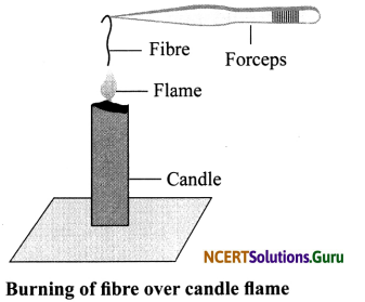 NCERT Solutions for Class 6 Science Chapter 3 Fibre to Fabric 3