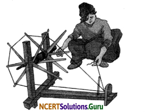 NCERT Solutions for Class 6 Science Chapter 3 Fibre to Fabric 4