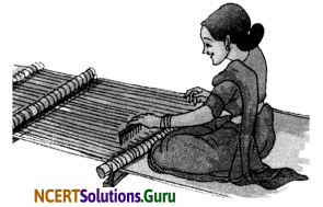 NCERT Solutions for Class 6 Science Chapter 3 Fibre to Fabric 5