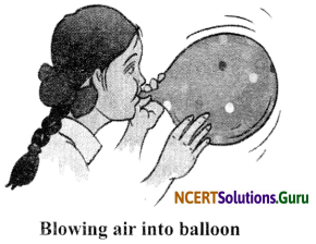 NCERT Solutions for Class 6 Science Chapter 6 Changes Around Us 1