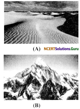 NCERT Solutions for Class 6 Science Chapter 9 The Living Organisms and their Surroundings 14