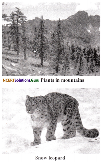NCERT Solutions for Class 6 Science Chapter 9 The Living Organisms and their Surroundings 4