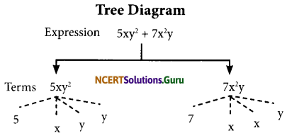 NCERT Solutions for Class 7 Maths Chapter 12 Algebraic Expressions Ex 12.1 4