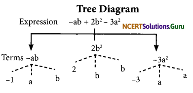 NCERT Solutions for Class 7 Maths Chapter 12 Algebraic Expressions Ex 12.1 5