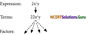 NCERT Solutions for Class 7 Maths Chapter 12 Algebraic Expressions InText Questions 3